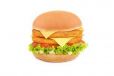 Chicken Double Burger