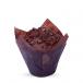 Double Chocolate Muffin