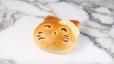 Kitty Nutella