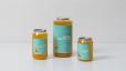 Passion Fruit Iced Tea 370ml