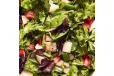 Green Salad