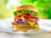 Double Decker Cheeseburger