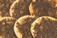 12 Mini Manakeesh of Your Choice