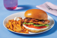 BBQ Chicken Burger with Fries