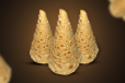 Papad