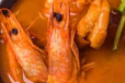 Shrimp Soup
