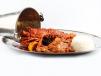 large Seafood Bucket