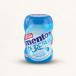 Mentos nano bottle gum - Freshmint flavour