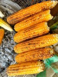 grilled sweet corn 