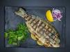 Sea Bream Meal 