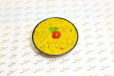 Daal Khichdi