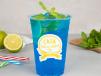 Blueberry Mojito