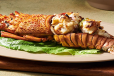 Malai Lobster
