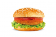 Vegetable Burger