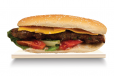 Kabab Combo