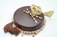 Choco Truffle Cake