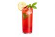 Strawberry Mint Mojito