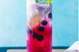 Blueberry Mojito