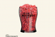 Pomegranate Bricks