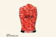 Watermelon Bricks