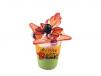 Fruit Punch