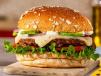 Vegetable Burger