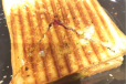 Veg. Grilled Sandwich