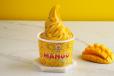 Mango Ice Cream Tub