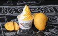 Mango Vanilla mix ice cream