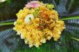 Pothi Biriyani Chicken