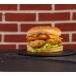 Hash Tag Chicken Burger