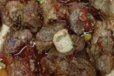 MUTTON NAMKEEN KARAHI 1 KG