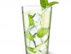 Classic Lemon Mojito