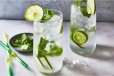 Lemon Mint Mojito