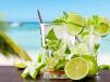 Lemon Mint Mojito