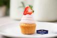 Strawberry Cupcake
