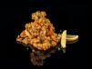 Calamari Fried