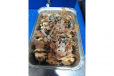 Takoyaki Crab And Cheese