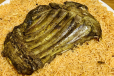 Haneeth Ribs
