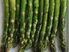 Asparagus