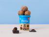 Chocolate Fudge Brownie Ice Cream 450 ml