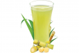 Sugarcane