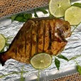 Pomfrentfish Fry