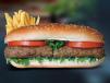 Chicken Kabab Combo