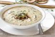 Cream Of Mushroom
