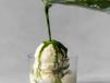 Matcha Affogato
