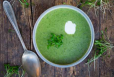 PALAK DHANIYA SOUP