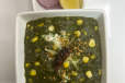 Corn Palak Bahaar