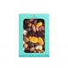 Pre Packed Dragee Assorted Nuts andamp; Fruits 400gm