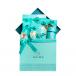 Daima Special Gift Box Big
